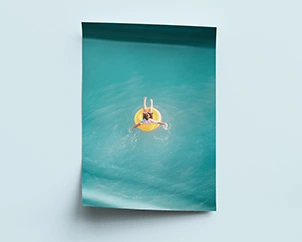 Lying poster with a holiday motif